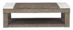 LOYASKA COFFEE TABLE